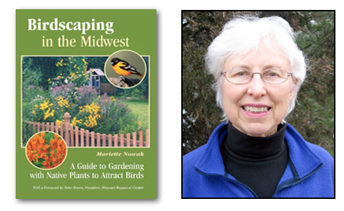 October 13 FACTalk: Birdscaping in WI: Gardening to Attract Birds (Video)