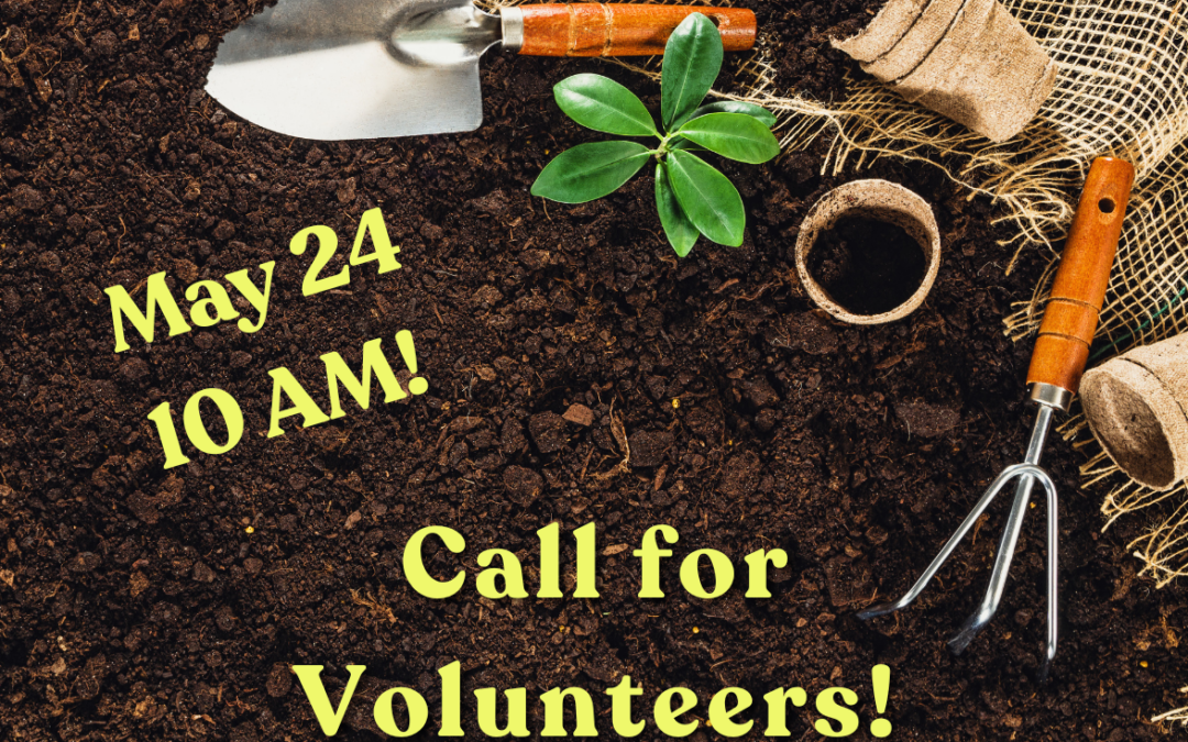 Volunteer Day